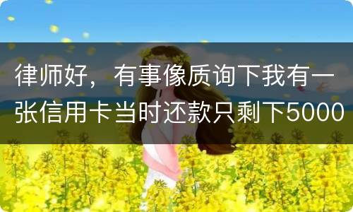 律师好，有事像质询下我有一张信用卡当时还款只剩下5000现在升到20000怎么办