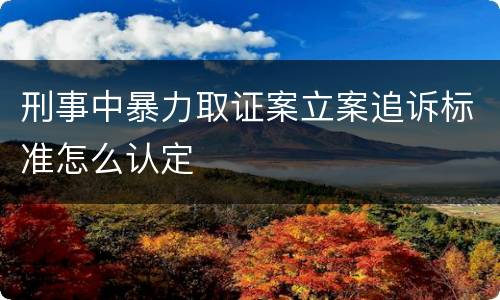 刑事中暴力取证案立案追诉标准怎么认定