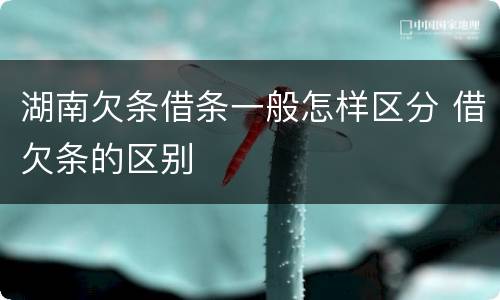 湖南欠条借条一般怎样区分 借欠条的区别