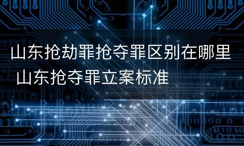 山东抢劫罪抢夺罪区别在哪里 山东抢夺罪立案标准