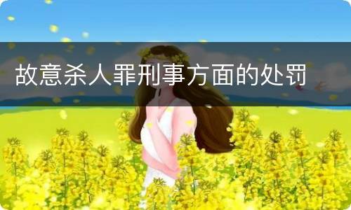 故意杀人罪刑事方面的处罚