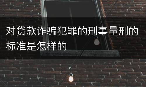 对贷款诈骗犯罪的刑事量刑的标准是怎样的