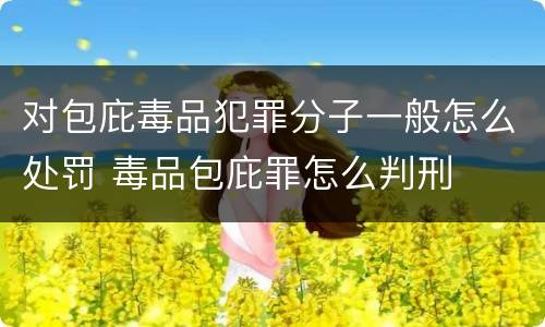 对包庇毒品犯罪分子一般怎么处罚 毒品包庇罪怎么判刑
