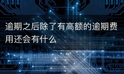 逾期之后除了有高额的逾期费用还会有什么