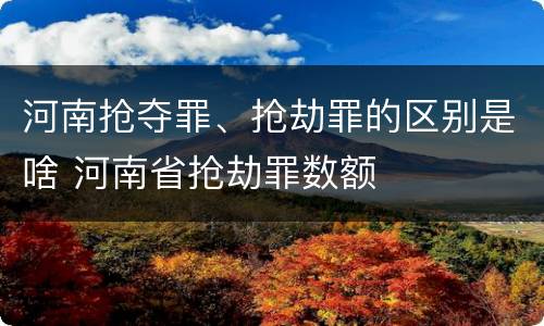河南抢夺罪、抢劫罪的区别是啥 河南省抢劫罪数额