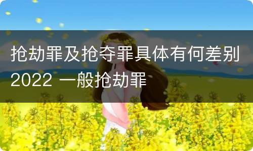 抢劫罪及抢夺罪具体有何差别2022 一般抢劫罪