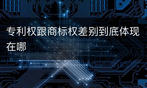 专利权跟商标权差别到底体现在哪