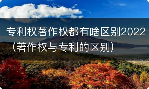 专利权著作权都有啥区别2022（著作权与专利的区别）