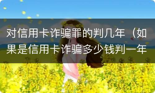 对信用卡诈骗罪的判几年（如果是信用卡诈骗多少钱判一年）