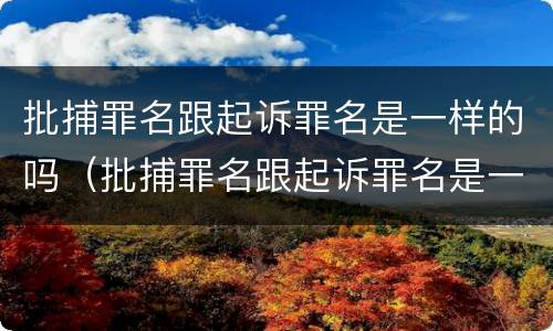 批捕罪名跟起诉罪名是一样的吗（批捕罪名跟起诉罪名是一样的吗）