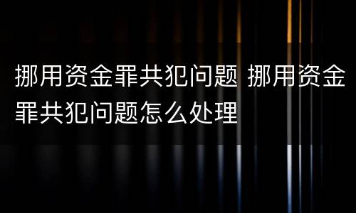 挪用资金罪共犯问题 挪用资金罪共犯问题怎么处理