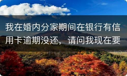 我在婚内分家期间在银行有信用卡逾期没还，请问我现在要离婚，老婆要承受债务吗
