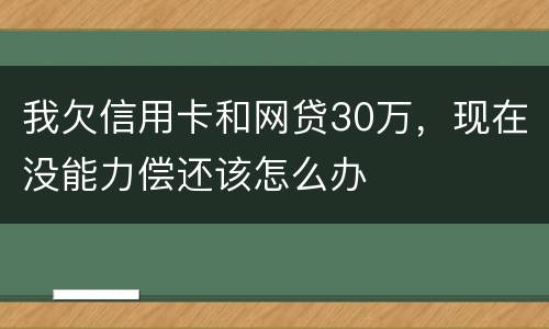 我欠信用卡和网贷30万，现在没能力偿还该怎么办