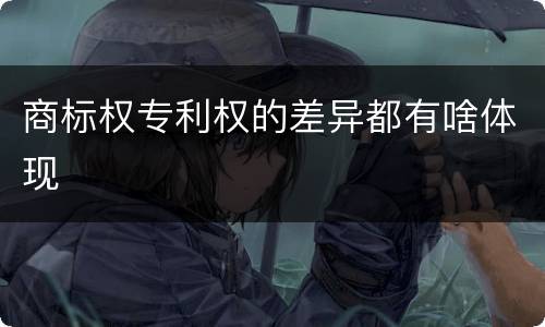 商标权专利权的差异都有啥体现