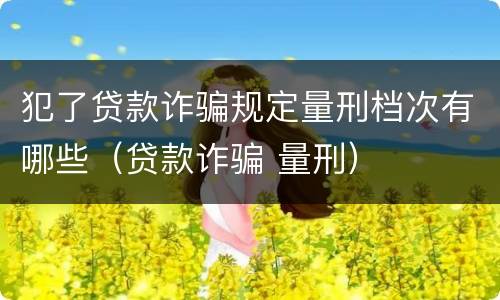 犯了贷款诈骗规定量刑档次有哪些（贷款诈骗 量刑）