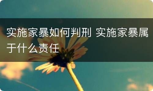 实施家暴如何判刑 实施家暴属于什么责任