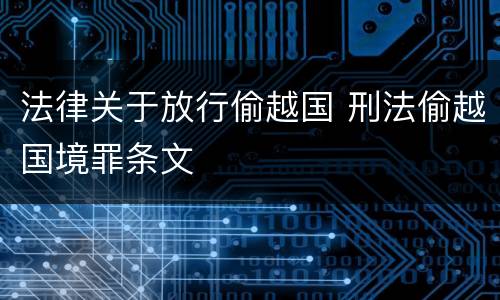 法律关于放行偷越国 刑法偷越国境罪条文