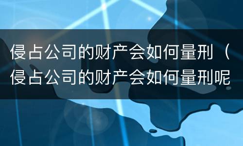 侵占公司的财产会如何量刑（侵占公司的财产会如何量刑呢）