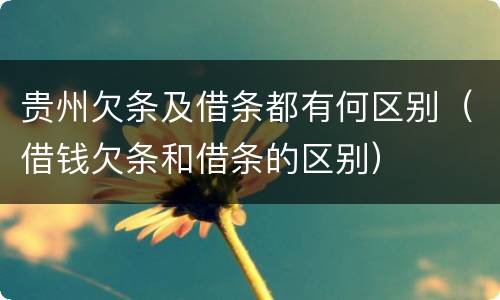 贵州欠条及借条都有何区别（借钱欠条和借条的区别）