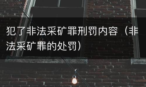 犯了非法采矿罪刑罚内容（非法采矿罪的处罚）