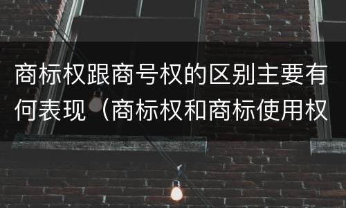 商标权跟商号权的区别主要有何表现（商标权和商标使用权的区别）