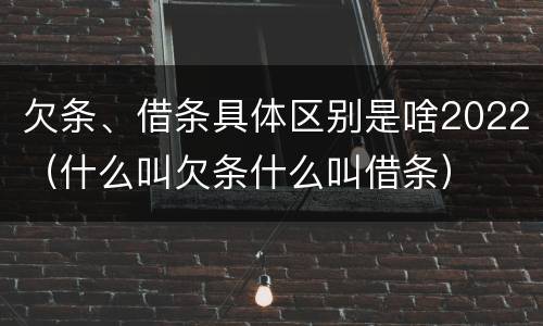 欠条、借条具体区别是啥2022（什么叫欠条什么叫借条）