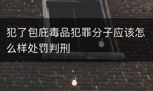 犯了包庇毒品犯罪分子应该怎么样处罚判刑