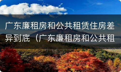 广东廉租房和公共租赁住房差异到底（广东廉租房和公共租赁住房差异到底有多大）