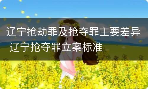 辽宁抢劫罪及抢夺罪主要差异 辽宁抢夺罪立案标准
