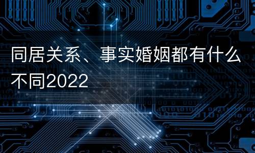 同居关系、事实婚姻都有什么不同2022