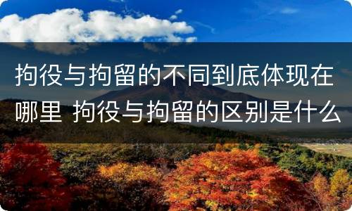 拘役与拘留的不同到底体现在哪里 拘役与拘留的区别是什么