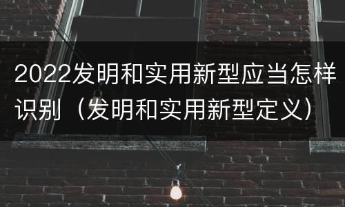2022发明和实用新型应当怎样识别（发明和实用新型定义）