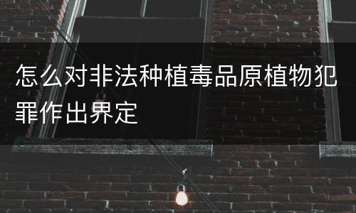 怎么对非法种植毒品原植物犯罪作出界定