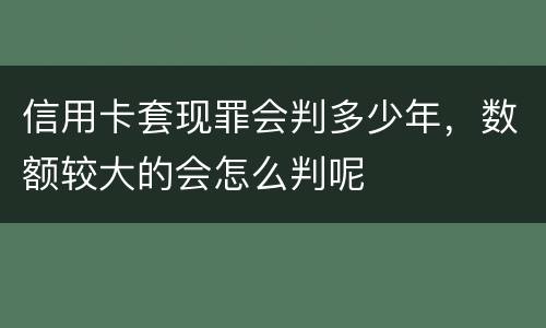 信用卡套现罪会判多少年，数额较大的会怎么判呢