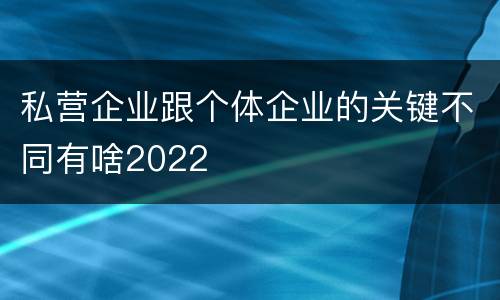 私营企业跟个体企业的关键不同有啥2022