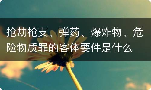 抢劫枪支、弹药、爆炸物、危险物质罪的客体要件是什么