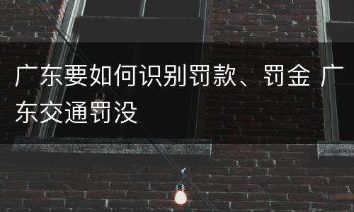 广东要如何识别罚款、罚金 广东交通罚没