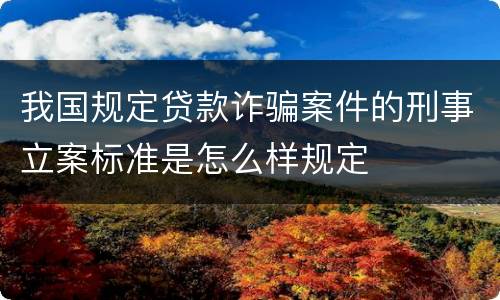 我国规定贷款诈骗案件的刑事立案标准是怎么样规定