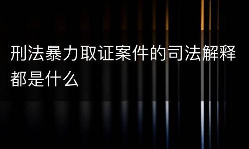 刑法暴力取证案件的司法解释都是什么