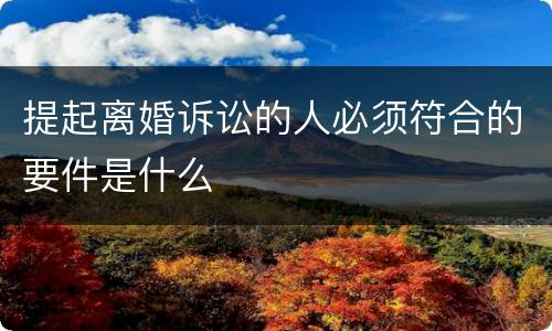 提起离婚诉讼的人必须符合的要件是什么