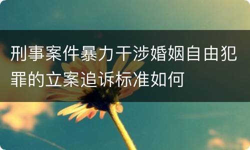 刑事案件暴力干涉婚姻自由犯罪的立案追诉标准如何