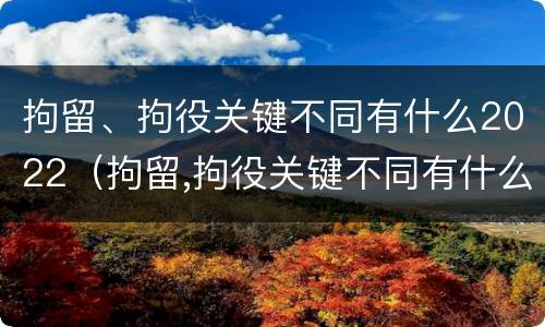 拘留、拘役关键不同有什么2022（拘留,拘役关键不同有什么2022规定）