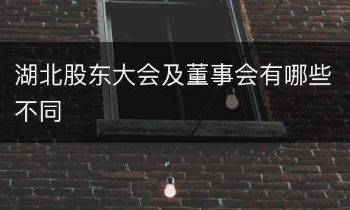 湖北股东大会及董事会有哪些不同