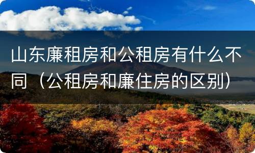 山东廉租房和公租房有什么不同（公租房和廉住房的区别）