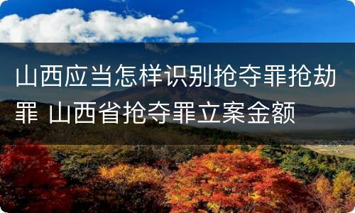 山西应当怎样识别抢夺罪抢劫罪 山西省抢夺罪立案金额