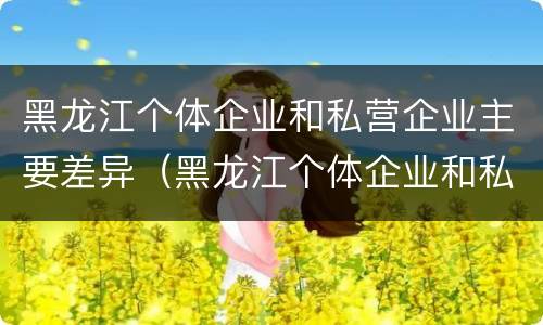 黑龙江个体企业和私营企业主要差异（黑龙江个体企业和私营企业主要差异有哪些）