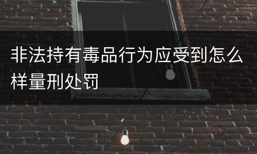 非法持有毒品行为应受到怎么样量刑处罚