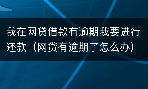 我在网贷借款有逾期我要进行还款（网贷有逾期了怎么办）