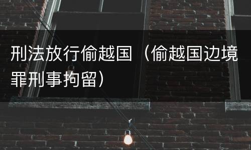 刑法放行偷越国（偷越国边境罪刑事拘留）