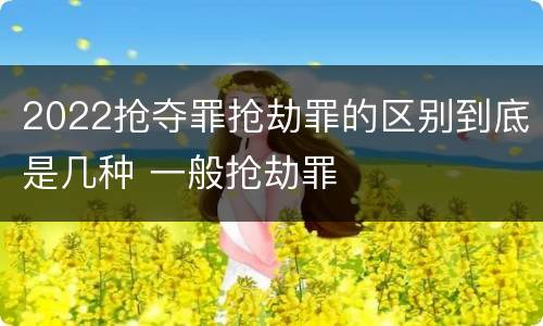 2022抢夺罪抢劫罪的区别到底是几种 一般抢劫罪